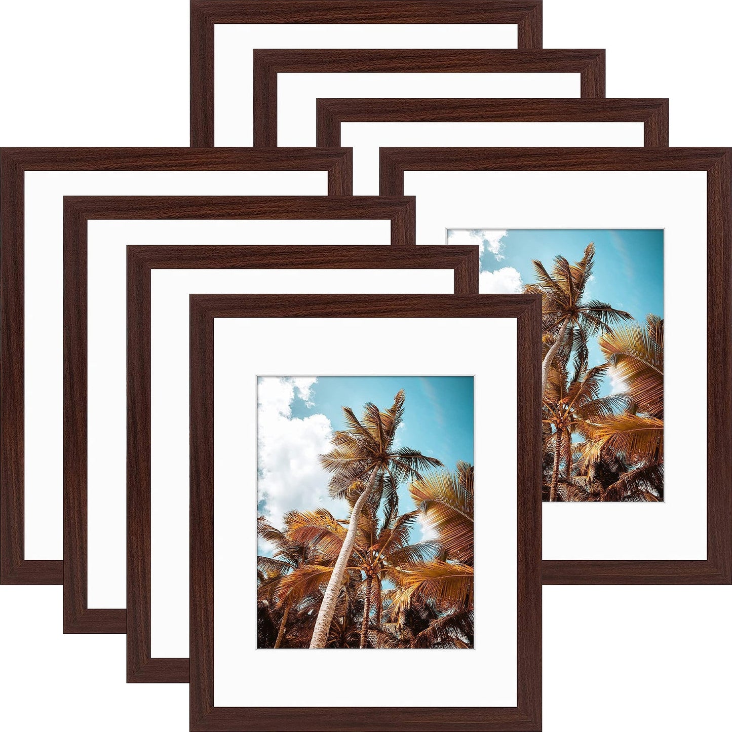 11x14 Picture Frame for 8x10 Photo (8 Pcs Per Box) Walnut