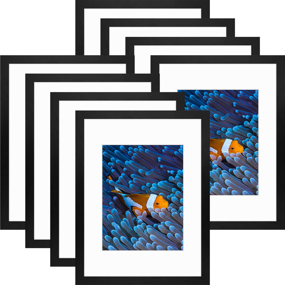 12x16 Picture Frame for 8.5x11 Photo with White mat and Plexiglass (8 Pcs Per Box)