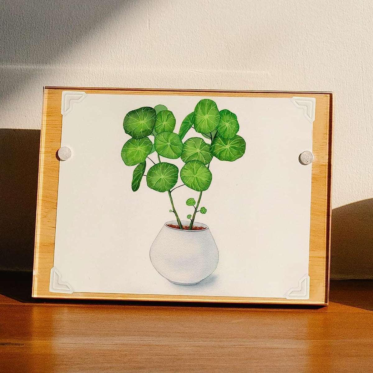 Books By Hand Self-Adhesive Photo Corners