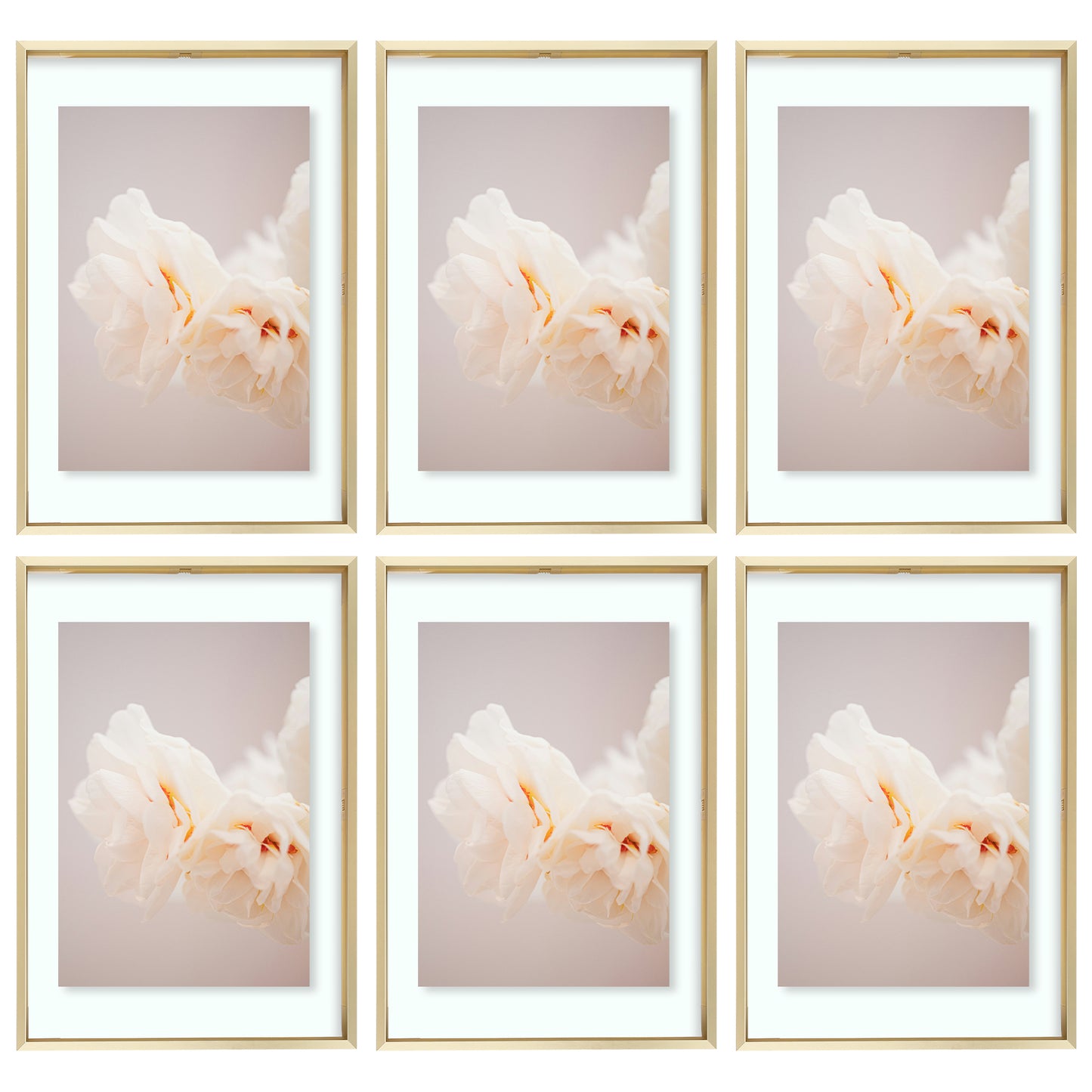 12x18 Floating Frame Displays Any Size Photo up to 12 by 18 (6 Pcs Per Box) Gold