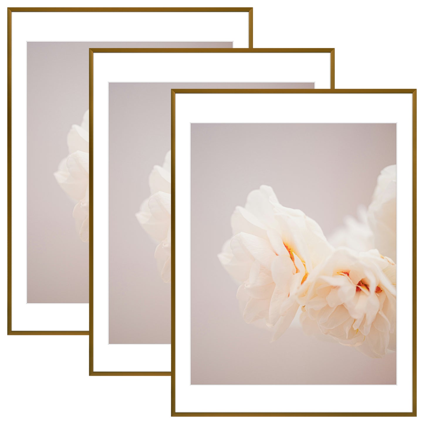 18x24 Aluminum Picture Frame With White Mat For 16x20 Photo (3 Pcs Per Box)