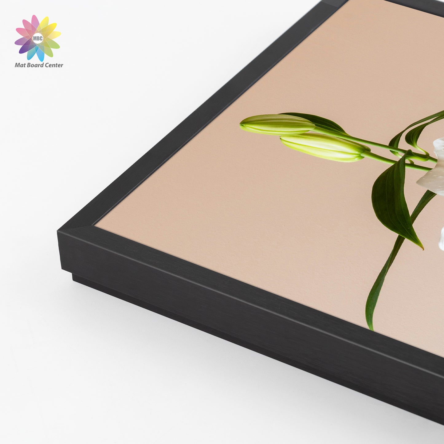 Clearance 20x24 Aluminum Picture Frame with Plexiglass (6 Pcs Per Box)