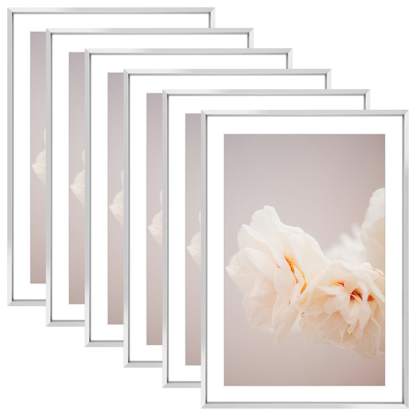 13x19 Poster Frame for 11x17 Pictures with White Mat (6 Pcs Per Box) Silver