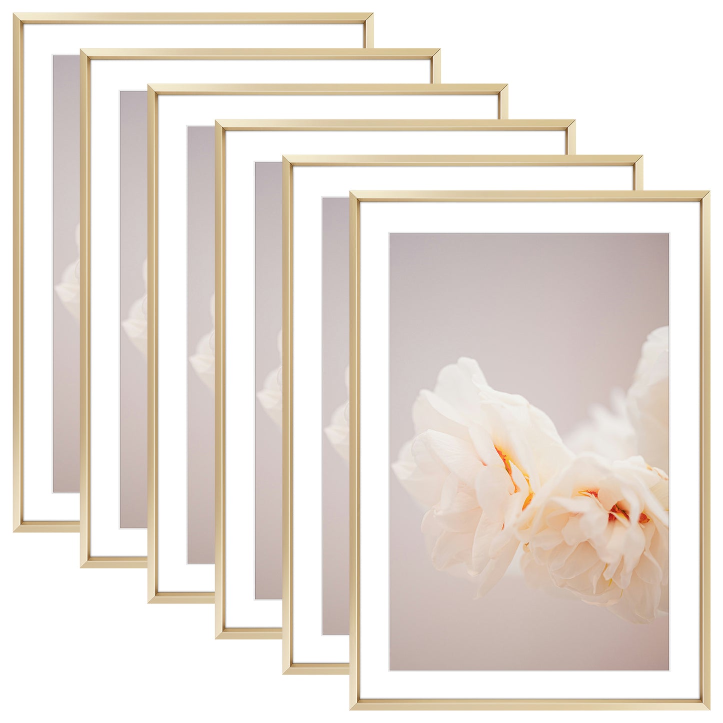 13x19 Poster Frame for 11x17 Pictures with White Mat (6 Pcs Per Box) Gold