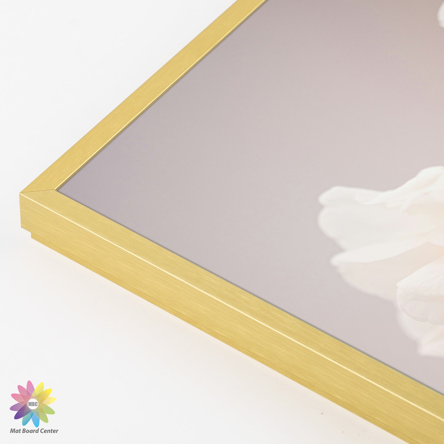 14x24 Poster Frame with Plexiglass (6 Pcs Per Box)