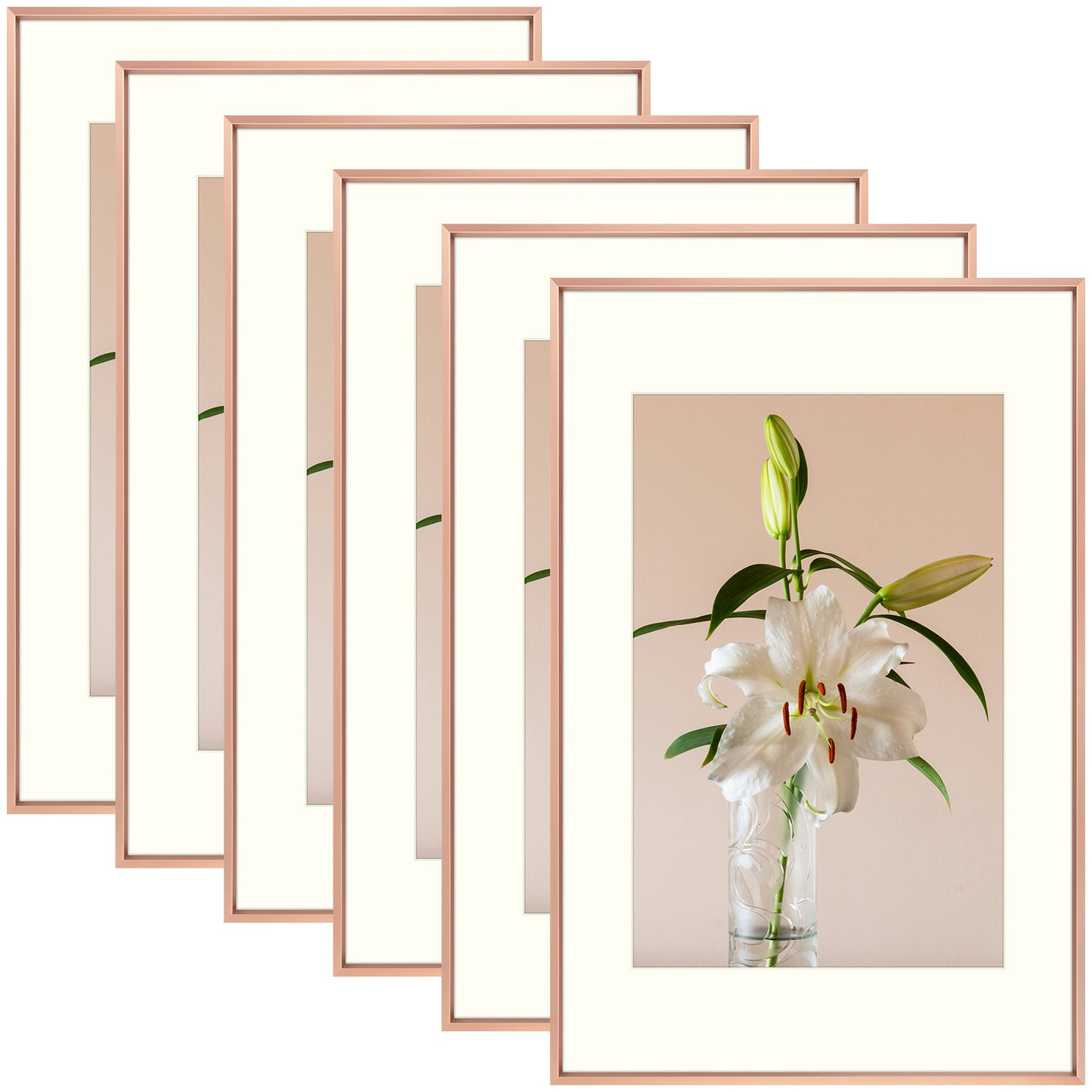 Clearance 16x24 Aluminum Picture Frame for 12x18 Pictures with Ivory Mat and Real Glass (6 Pcs Per Box)