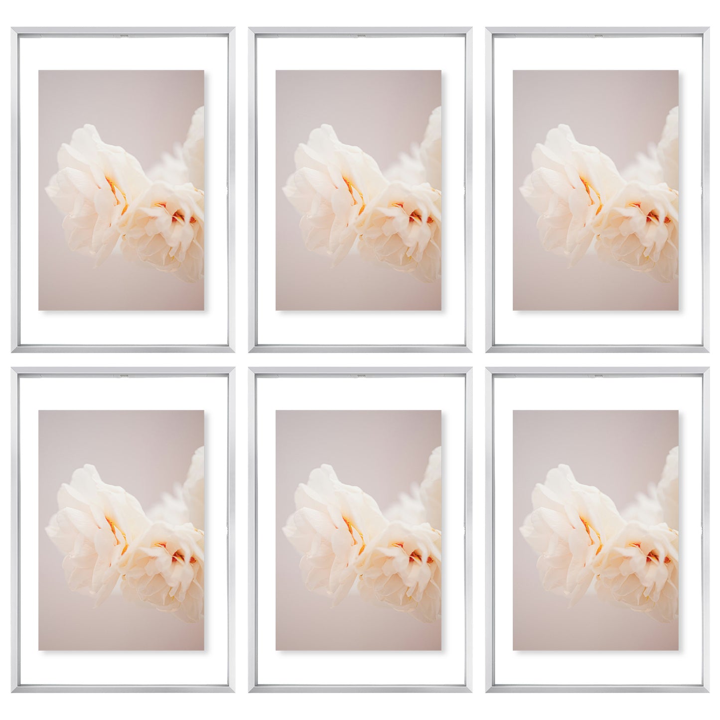 12x18 Floating Frame Displays Any Size Photo up to 12 by 18 (6 Pcs Per Box) Silver