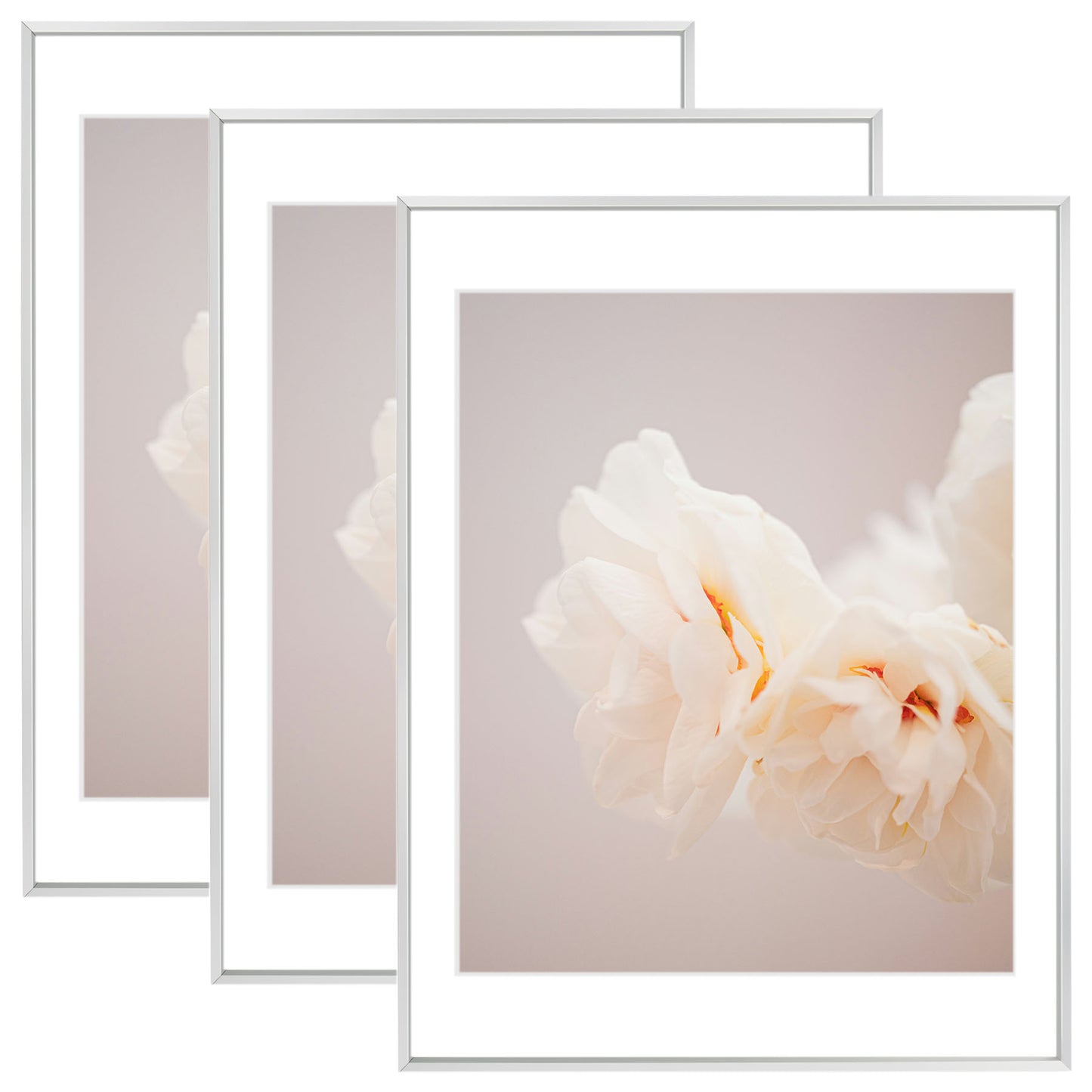 18x24 Poster Frame with White Mat for 16x20 Picture (3 Pcs Per Box) Silver