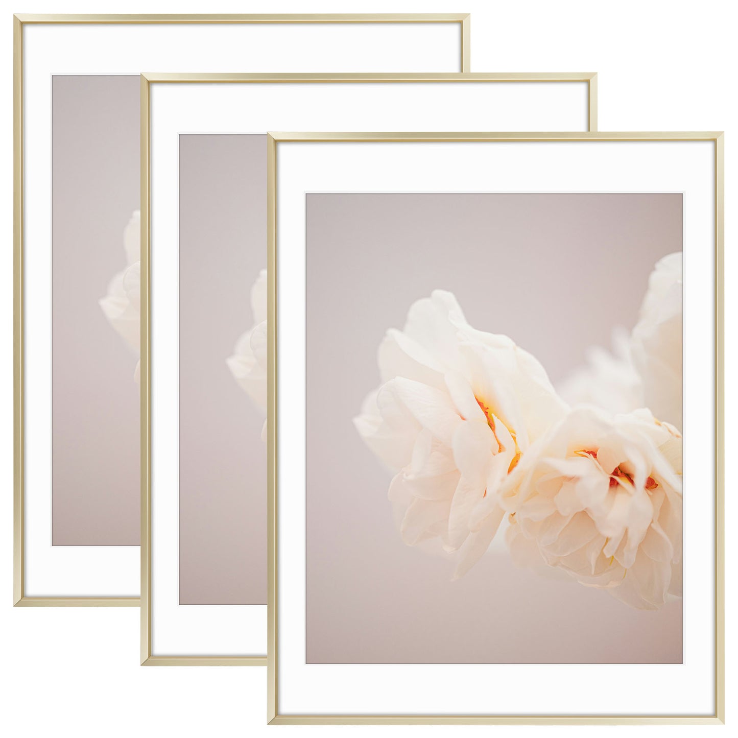 18x24 Poster Frame with White Mat for 16x20 Picture (3 Pcs Per Box) Gold