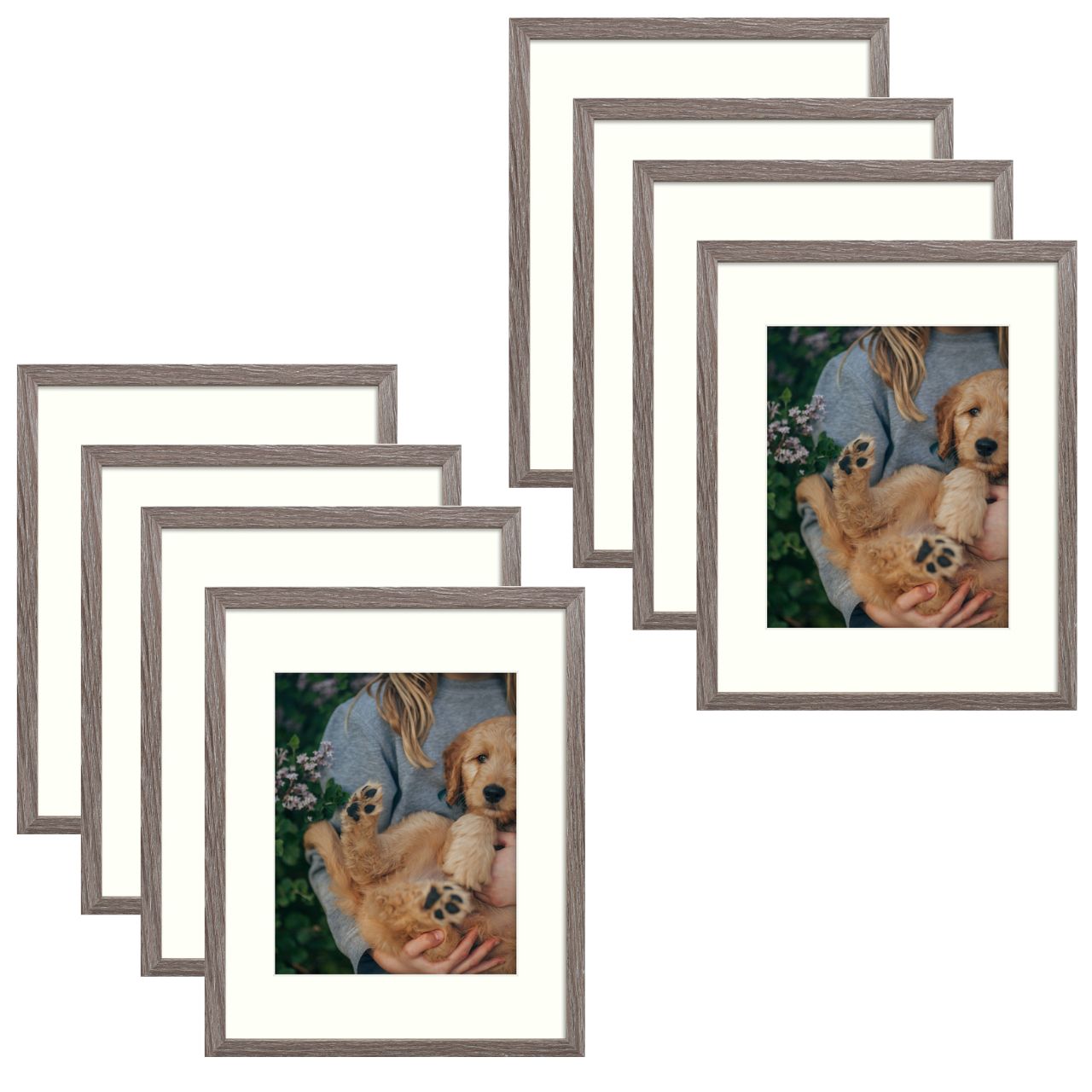 Clearance, Pack of 8, 11x14 Grey Picture/Shadowbox Frame for 8x10 Photo with Ivory Mat and Real Glass