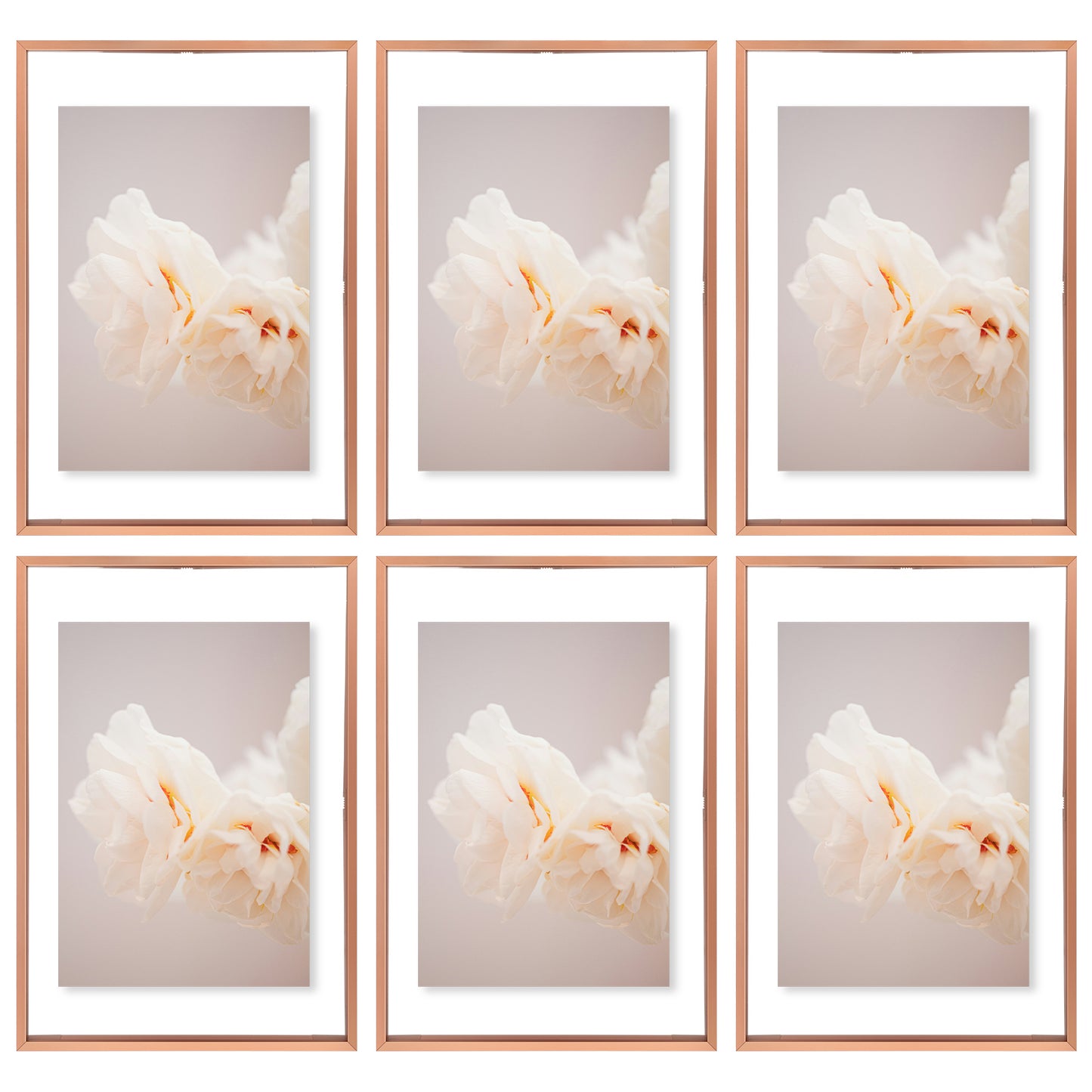 Clearance 12x18 Aluminum Floating Frame Rose Gold (6 Pcs Per Box)
