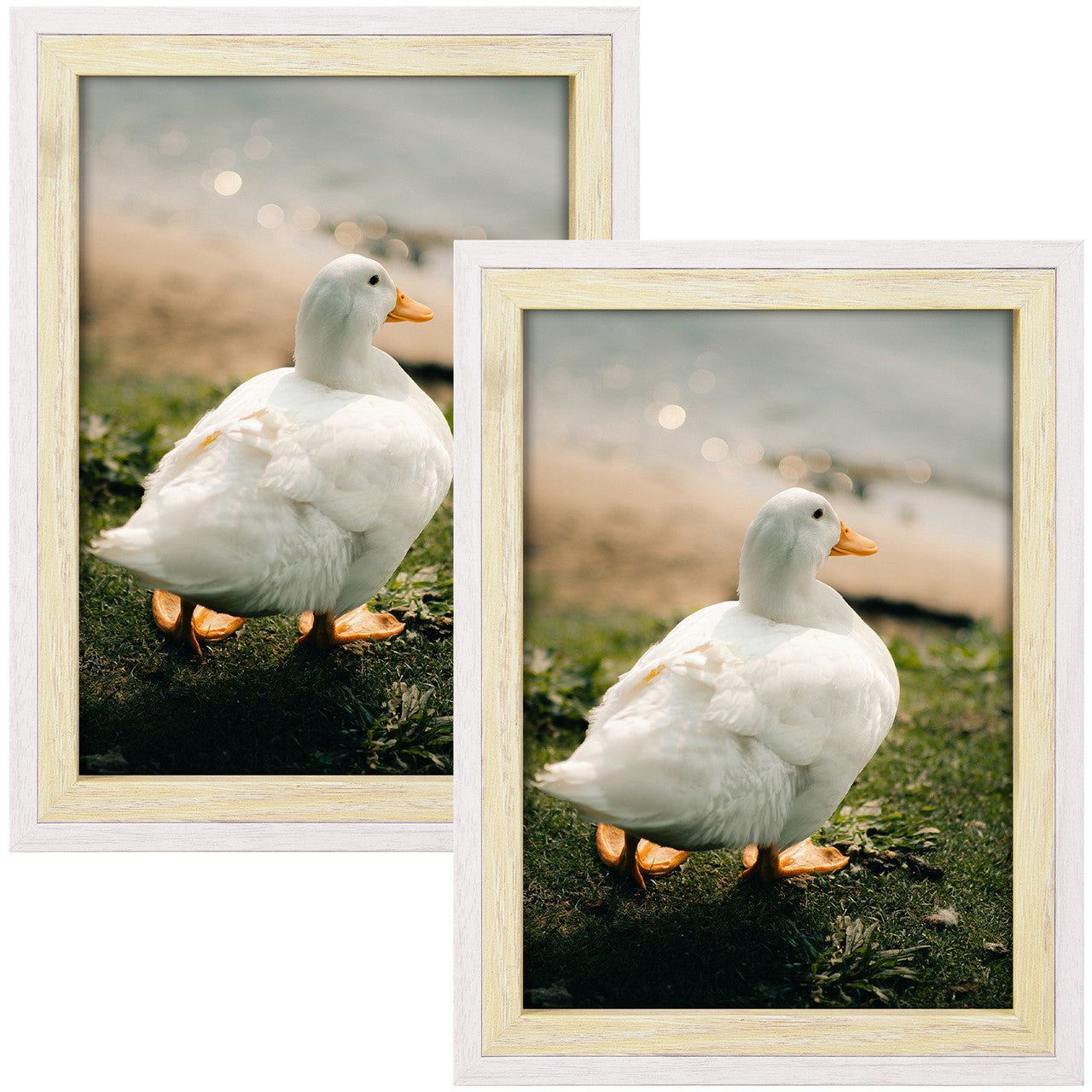 BOGO Pack of 12, 5x7 White/Beige Picture Frame with Real Glass