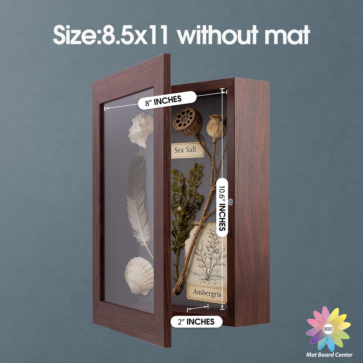 Clearance 8.5x11 Shadow Box Picture Frame (4 Pcs Per Box)