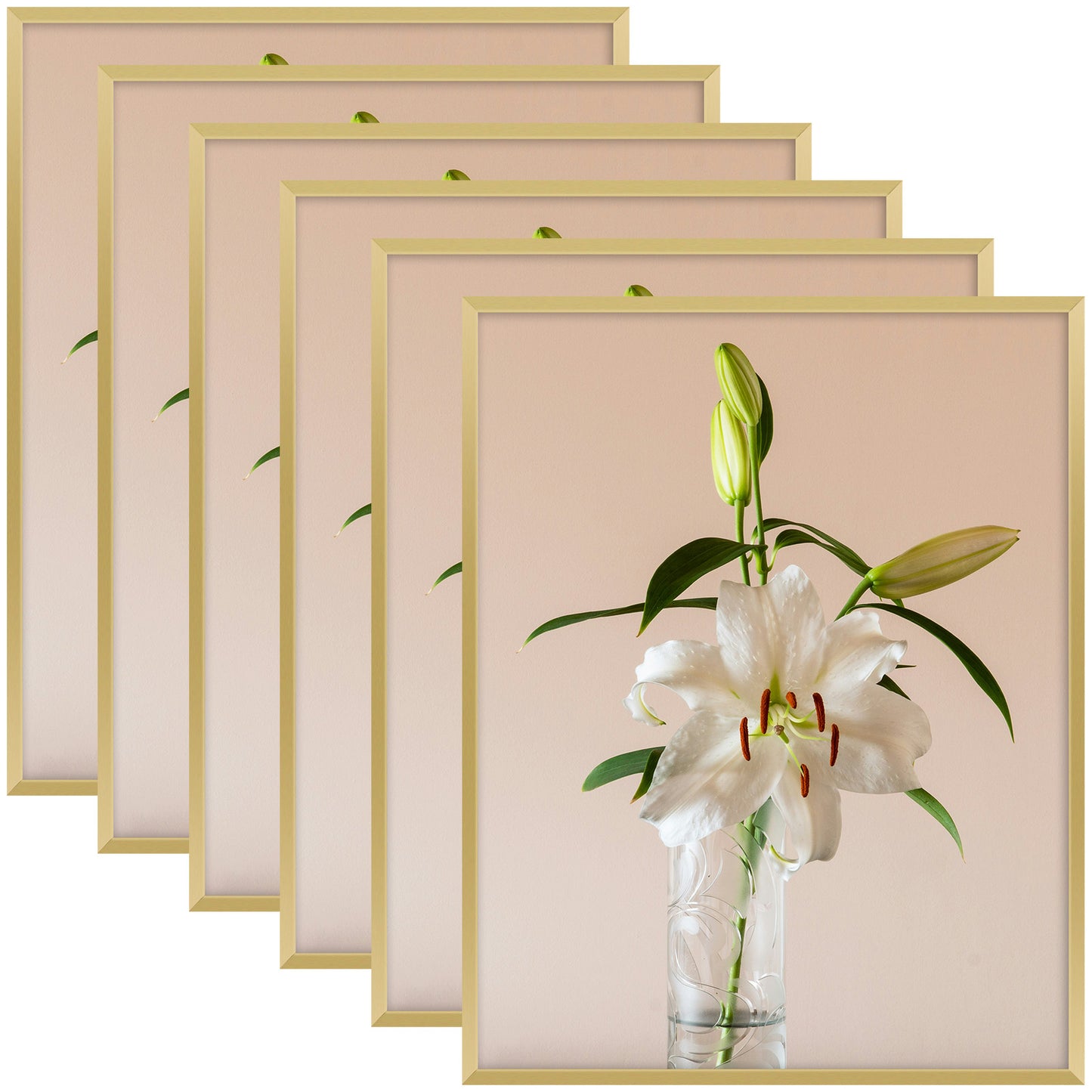 Clearance 14x18 Aluminum Picture Frame with Plexiglass (6 Pcs Per Box) Gold