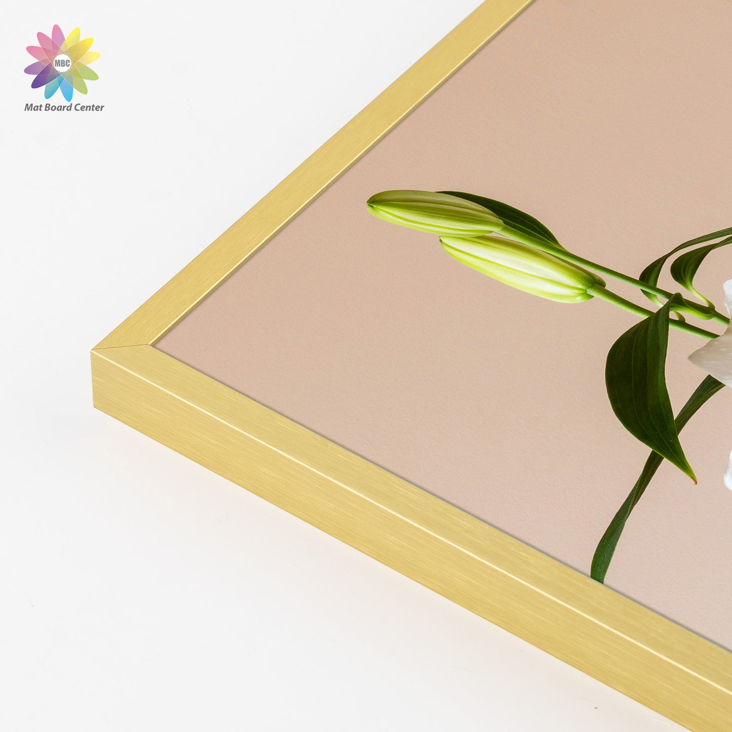 Clearance 14x18 Aluminum Picture Frame with Plexiglass (6 Pcs Per Box)