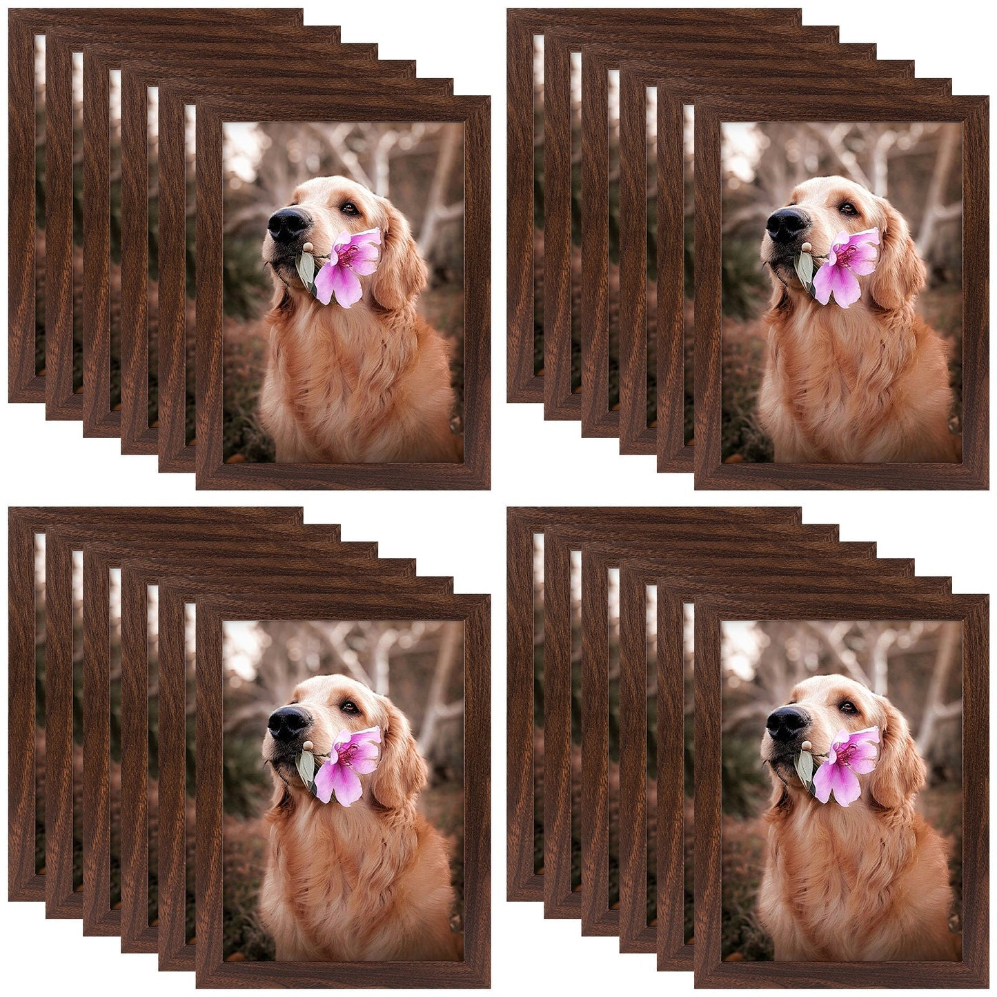 A4 Picture Frame with Plexiglass (24 Pcs Per Box)