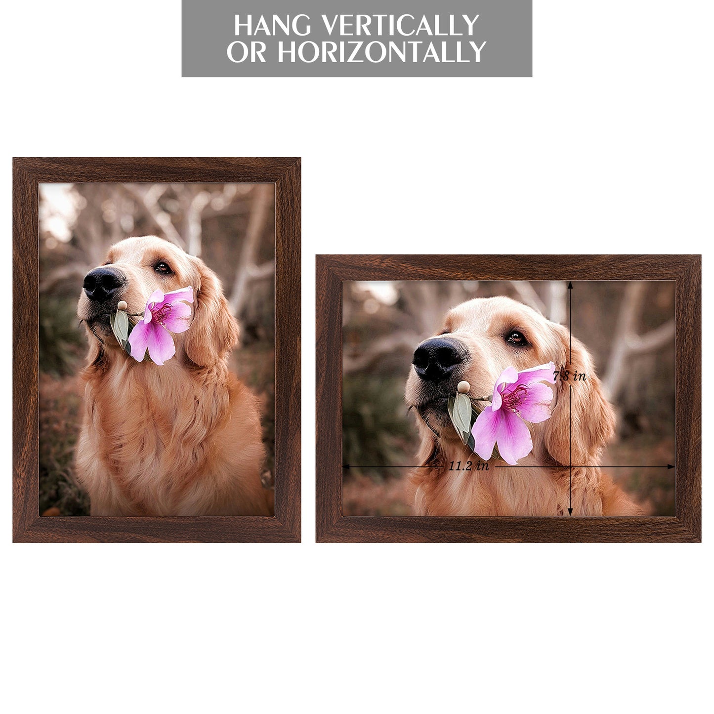 A4 Brown Picture Frame with Plexiglass (24 Pcs Per Box)