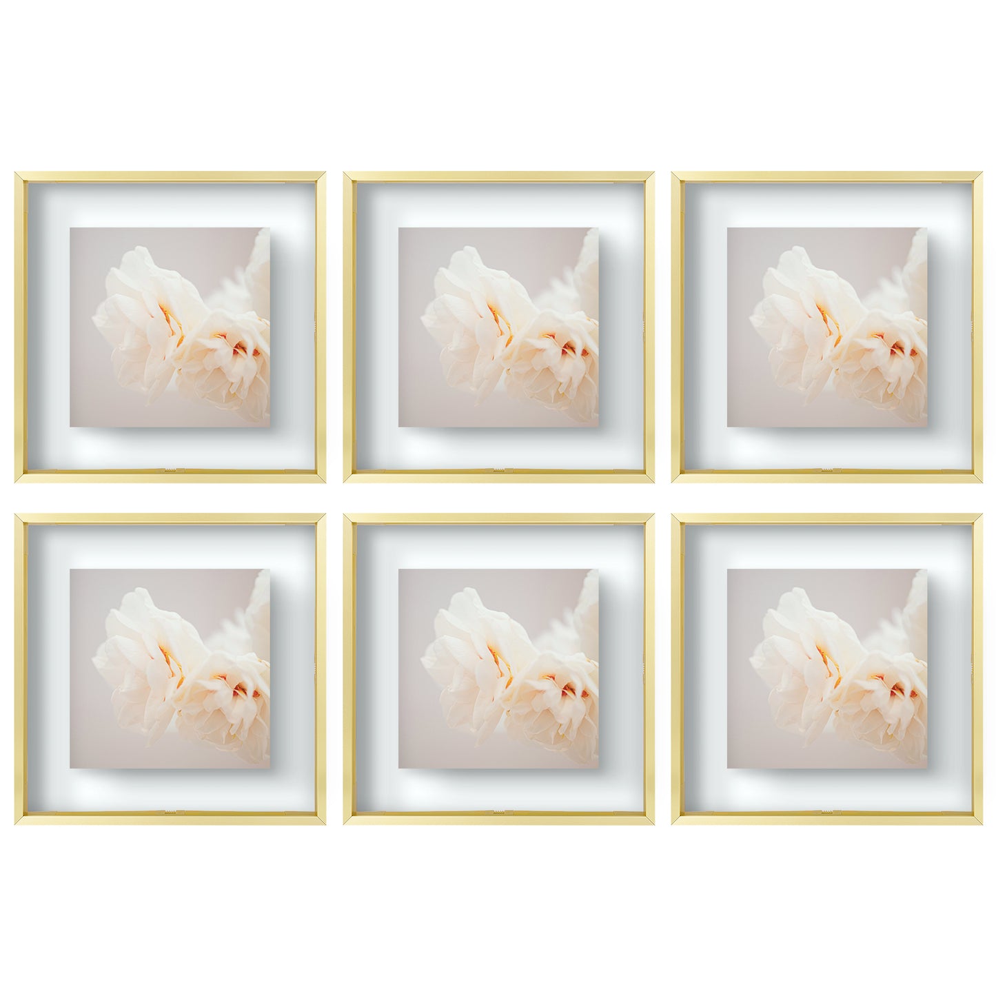 12x12 Floating Frame Displays Any Size Photo up to 12 by 12 (6 Pcs Per Box) Gold