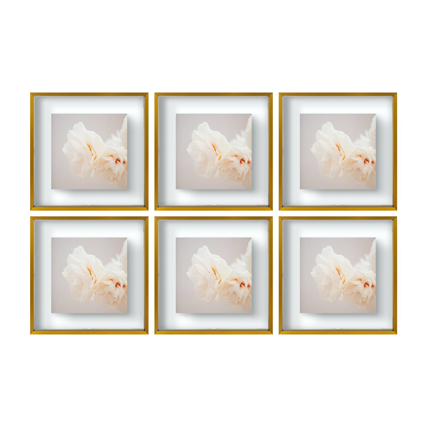 12x12 Floating Frame Displays Any Size Photo up to 12 by 12 (6 Pcs Per Box) Bronze