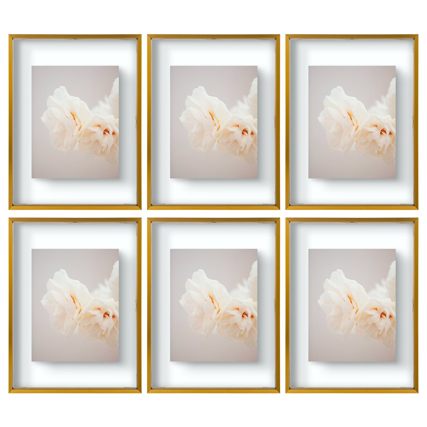 12x16 Floating Frame Displays Any Size Photo up to 12 by 16 (6 Pcs Per Box)