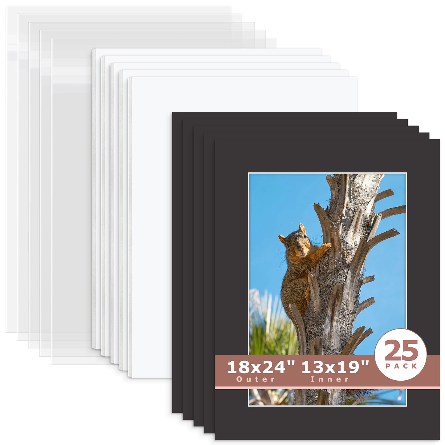 25 Pack 18x24 Economy Pre-Cut Mat Board + White Foam Board + Bag 13x19 (12.5x18.5 exact opening) N142 Black