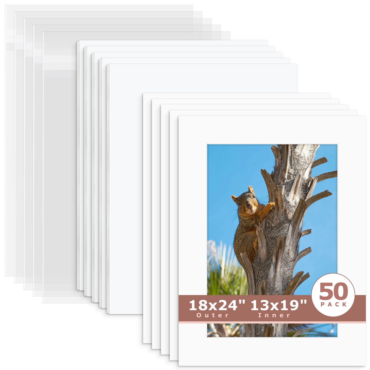 50 Pack 18x24 Economy Pre-Cut Mat Board + White Foam Board + Bag 13x19 (12.5x18.5 exact opening) N501 White