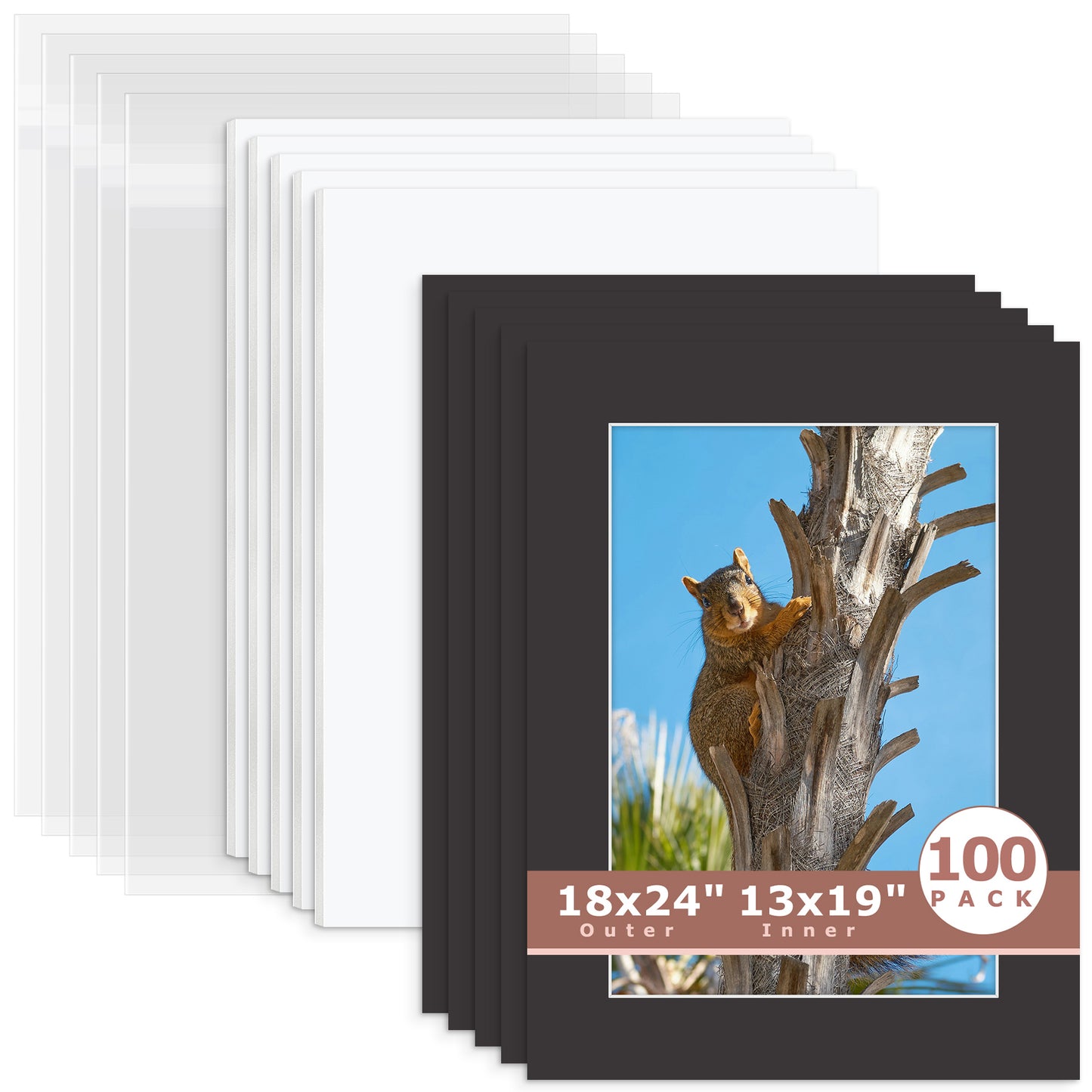 100 Pack 18x24 Economy Pre-Cut Mat Board + White Foam Board + Bag 13x19 (12.5x18.5 exact opening) N142 Black