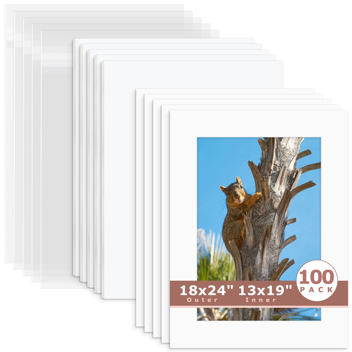 100 Pack 18x24 Economy Pre-Cut Mat Board + White Foam Board + Bag 13x19 (12.5x18.5 exact opening) N501 White