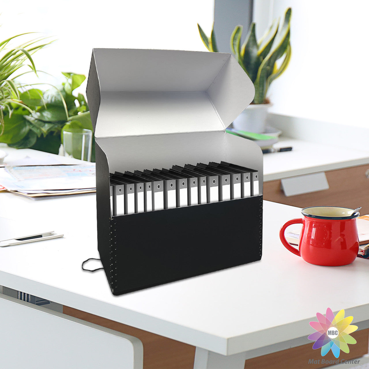 Lineco Black Archival Document Storage Cases Acid Free File Organizer
