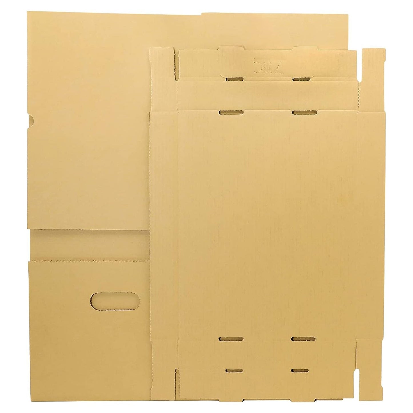 12x15x10 inches Archival Storage Cartons (5 Pack)