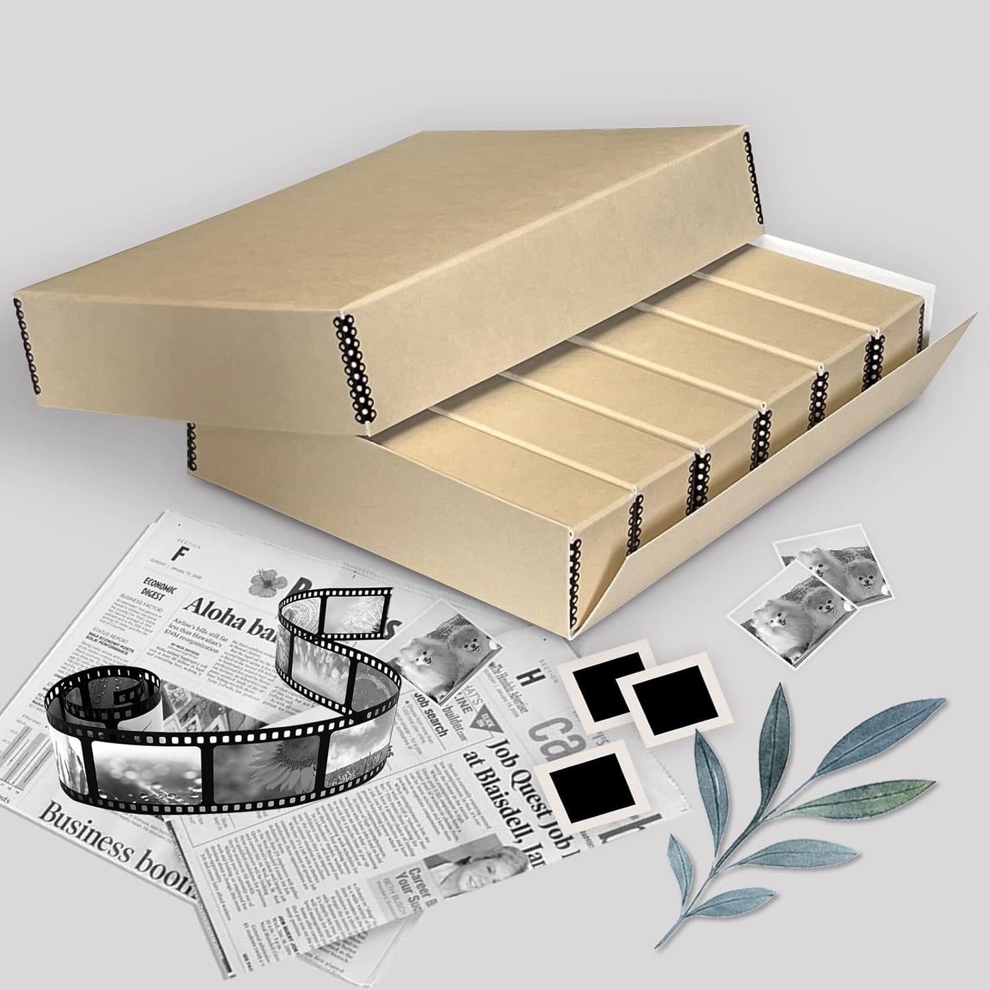 Lineco 15.5 x 11.5 x 3 Inches Archival Slide Storage Case