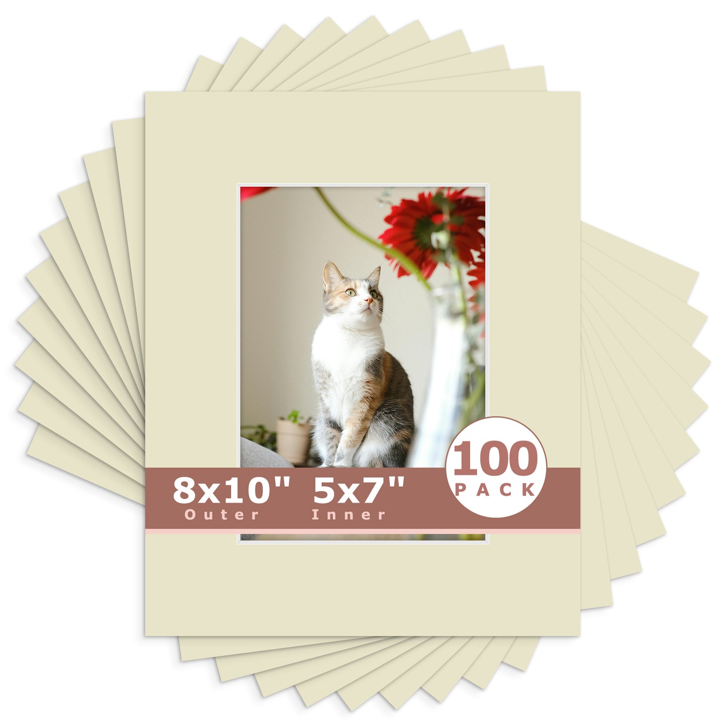8x10 Economy Pre-Cut Mat Board-Pack of 100 5x7 (4.5x6.5 exact opening) N120 Light Gray