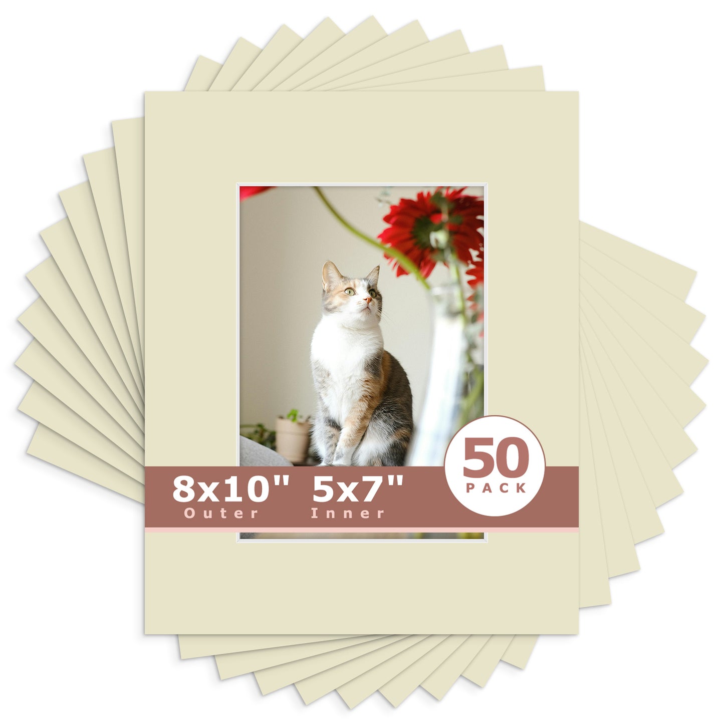 8x10 Economy Pre-Cut Mat Board-Pack of 50 5x7 (4.5x6.5 exact opening) N120 Light Gray