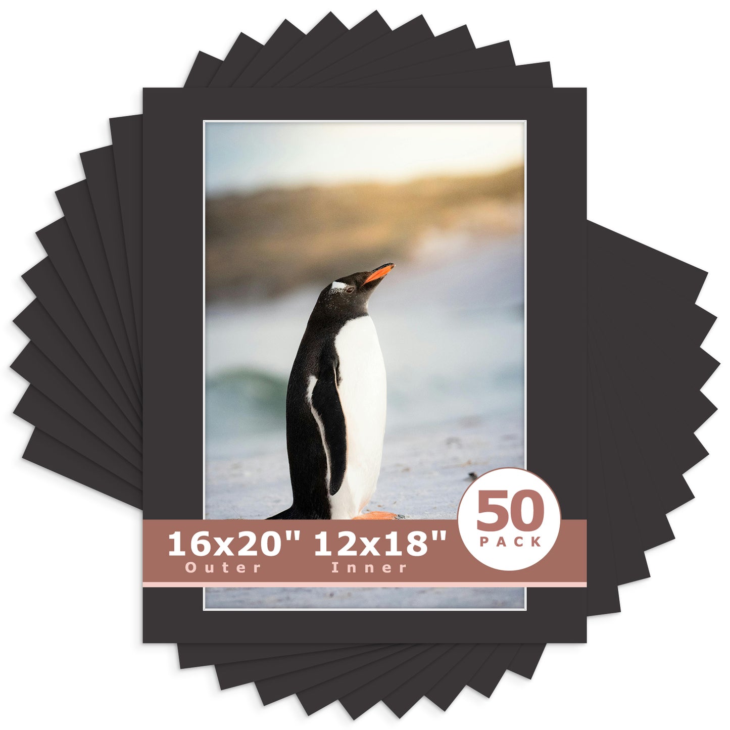 16x20 Whitecore Economy Pre-Cut Mat-Pack of 50 12x18 (exact opening 11.5x17.5) N142 Tricom Black