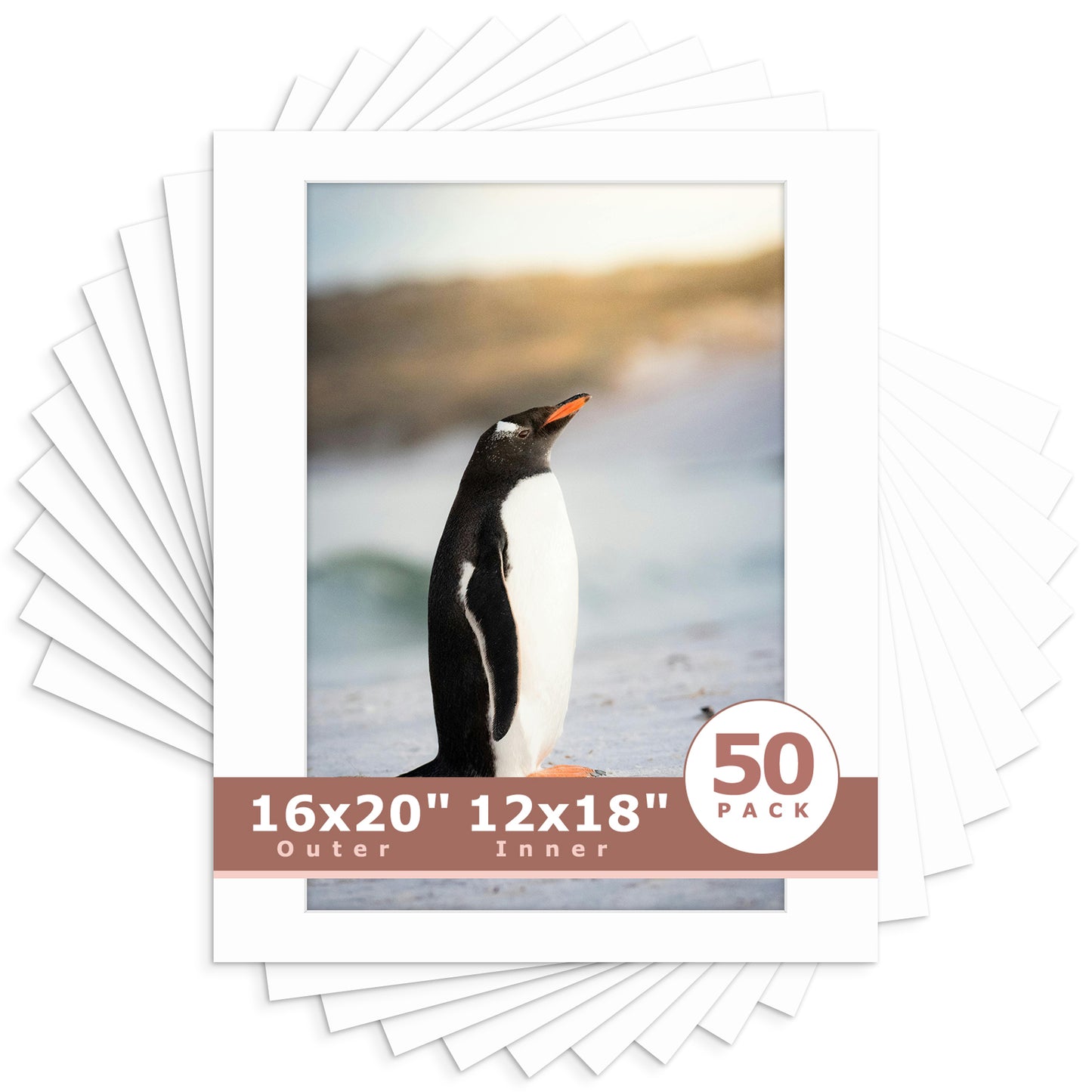 16x20 Whitecore Economy Pre-Cut Mat-Pack of 50 12x18 (exact opening 11.5x17.5) N501 White