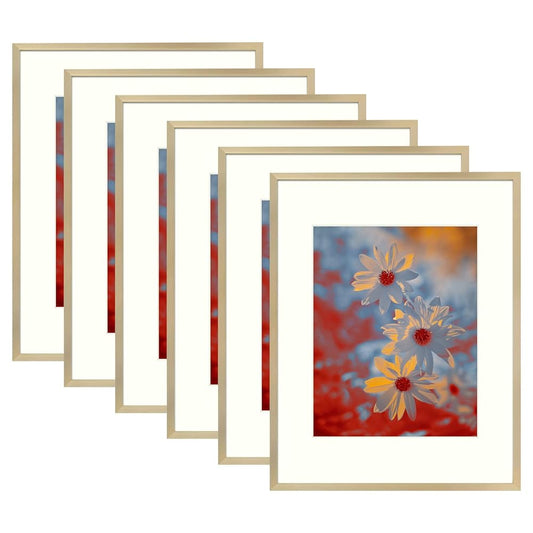 11x14 Aluminum Frame for 8x10 Picture with Ivory Mat Gold Color (6 Pcs per Box)