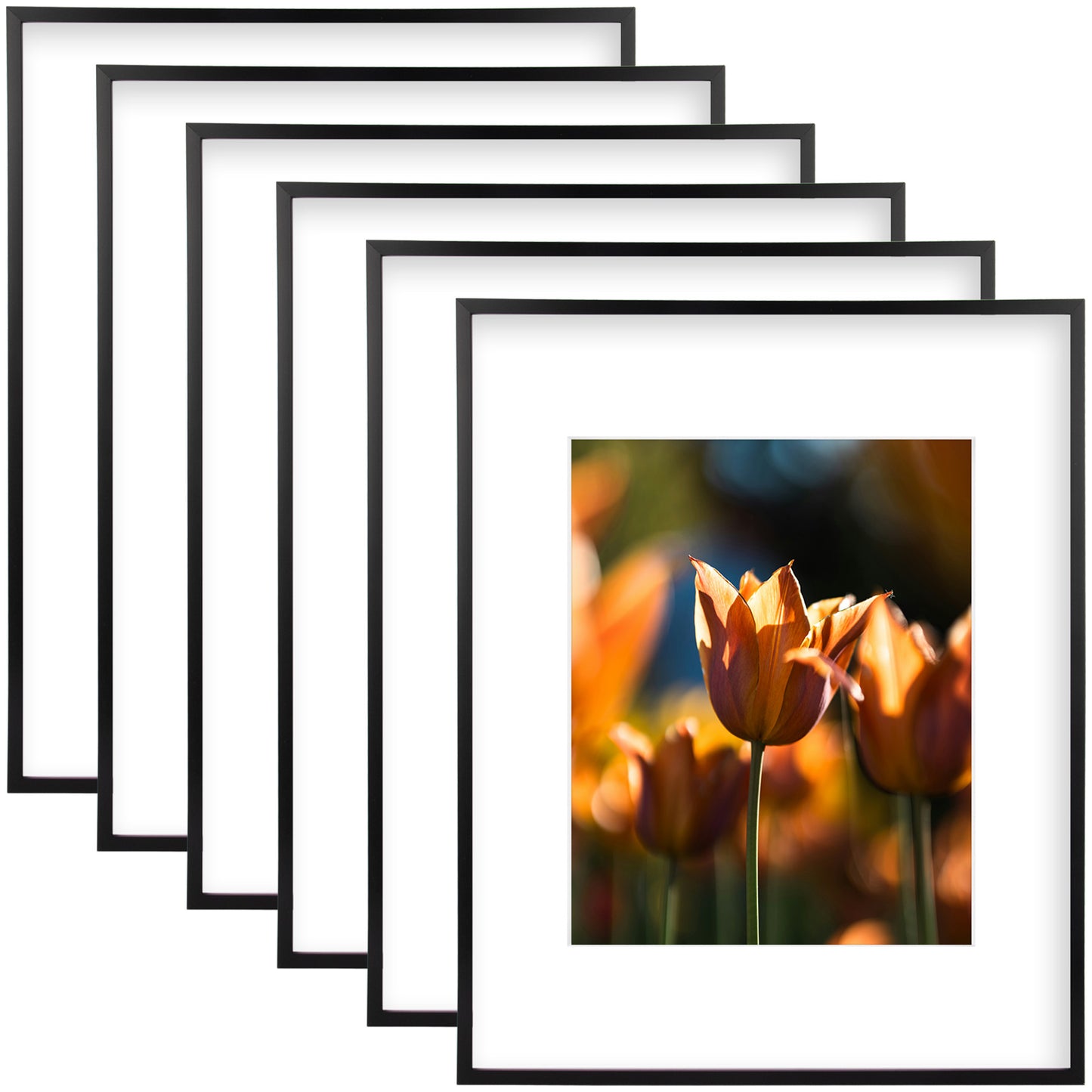 16x20 Picture Frame For 11x14 Photo With White Mat and Plexiglass (6 Pcs per Box) Black