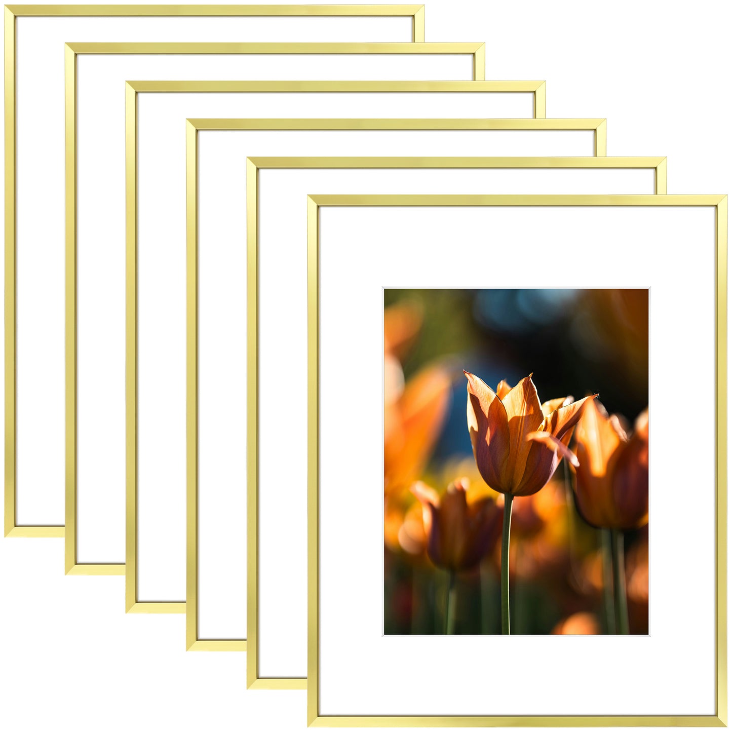 16x20 Picture Frame For 11x14 Photo With White Mat and Plexiglass (6 Pcs per Box) Gold