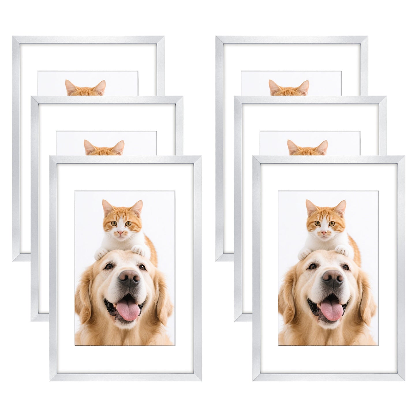 Clearance 16x24 Picture Frame for 12x18 Picture with White Mat (6 Pcs per Box)