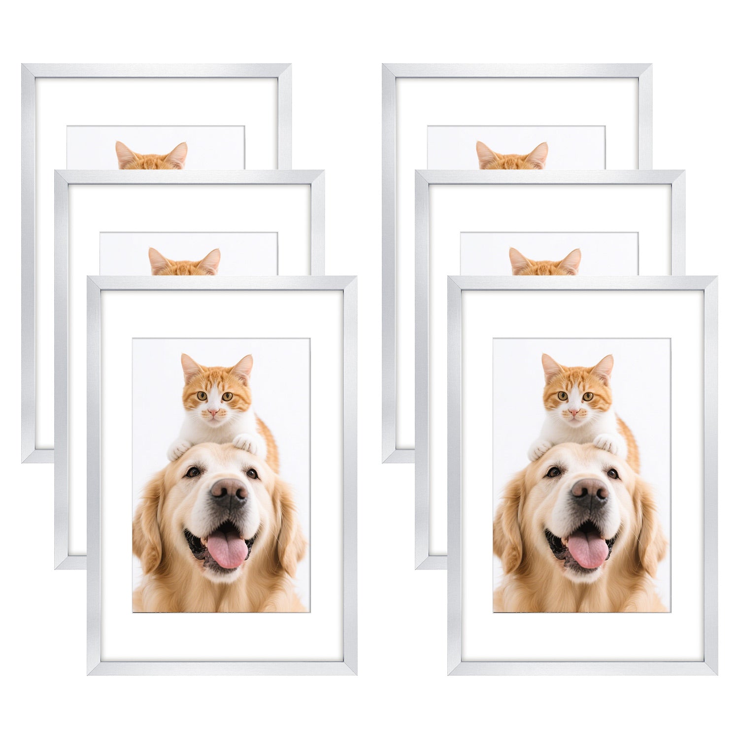 Clearance 16x24 Picture Frame for 12x18 Picture with White Mat (6 Pcs per Box)