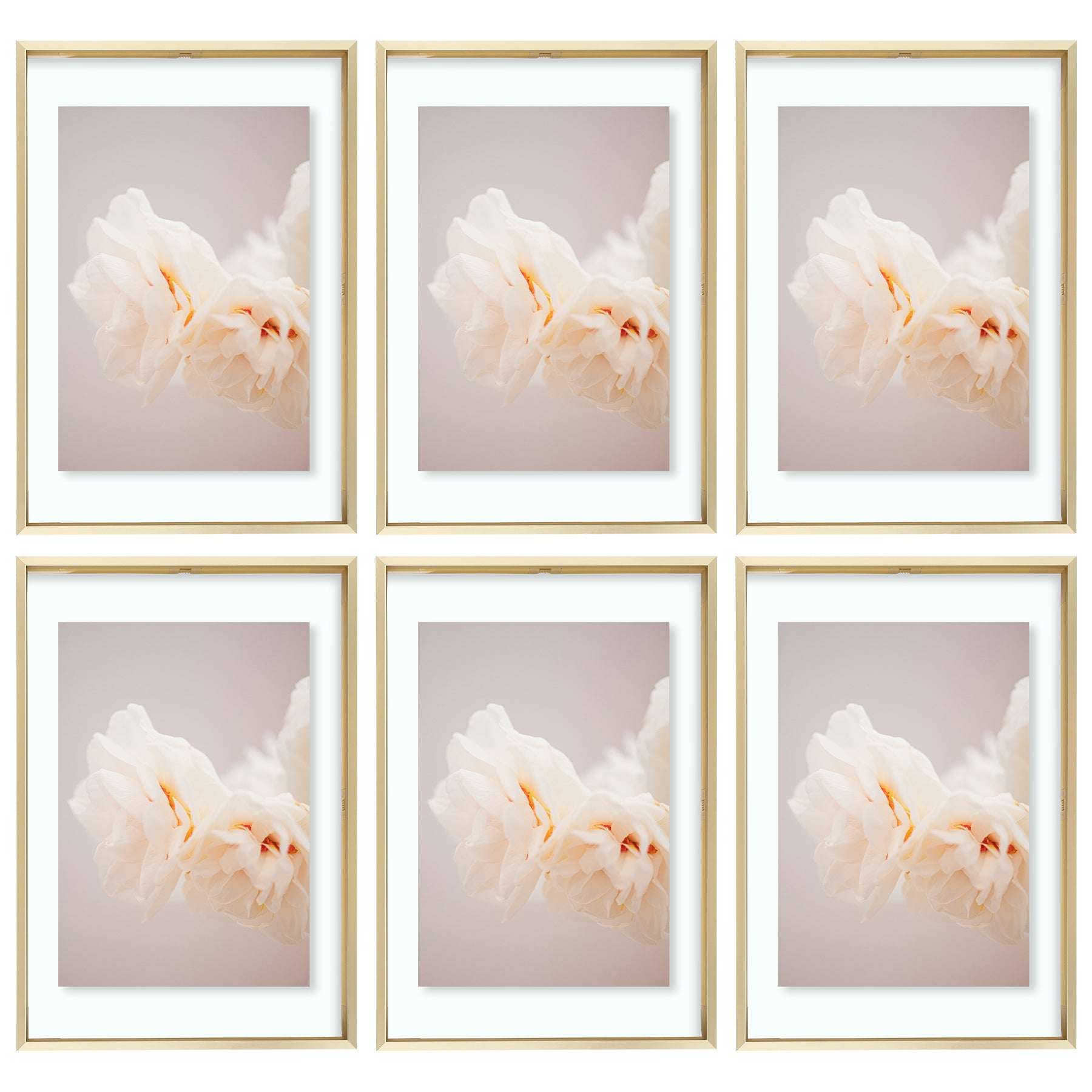 12x18 Floating Frame Displays Any Size Photo up to 12 by 18 (6 Pcs Per Box) Gold
