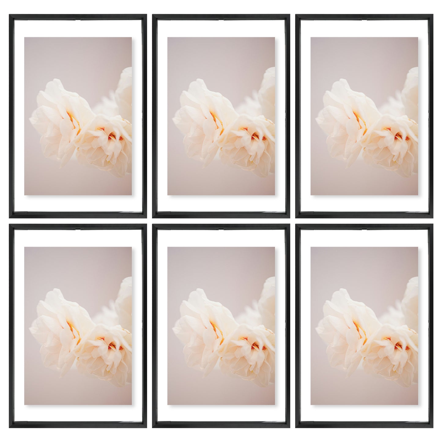 12x18 Floating Frame Displays Any Size Photo up to 12 by 18 (6 Pcs Per Box) Black
