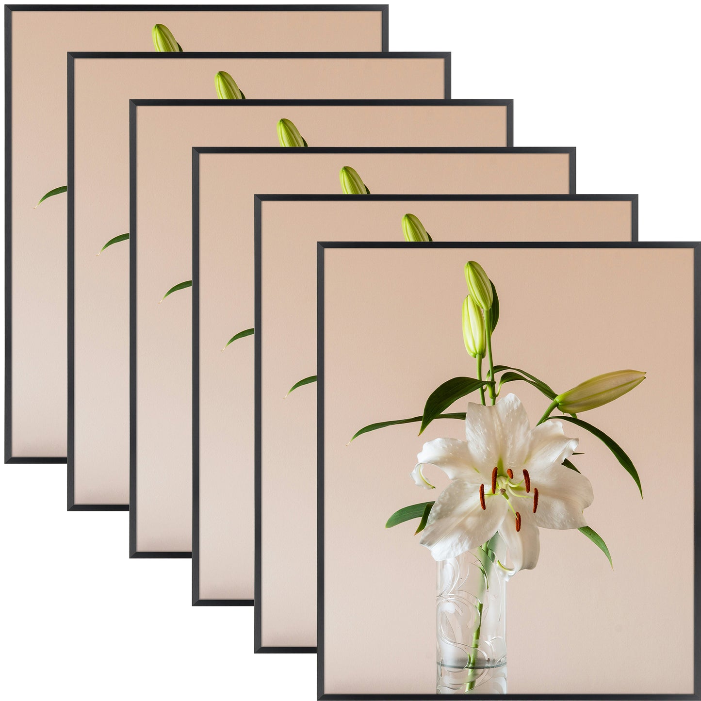 Clearance 20x24 Aluminum Picture Frame with Plexiglass (6 Pcs Per Box)