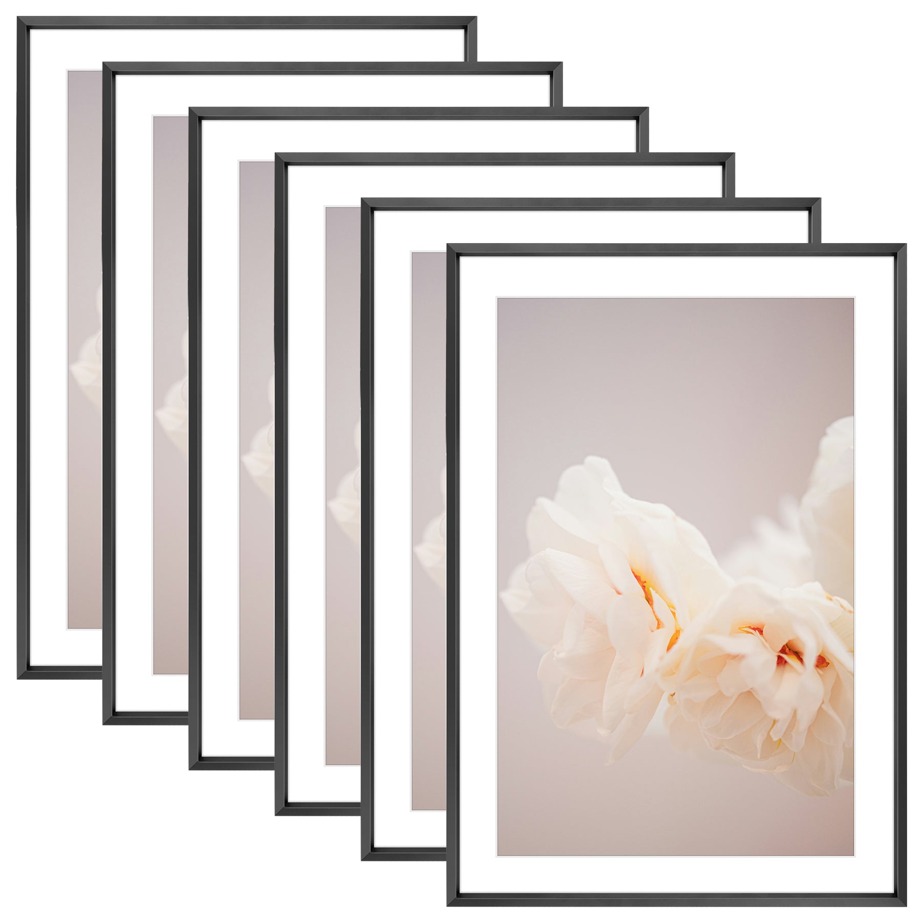 13x19 Poster Frame for 11x17 Pictures with White Mat (6 Pcs Per Box) Black