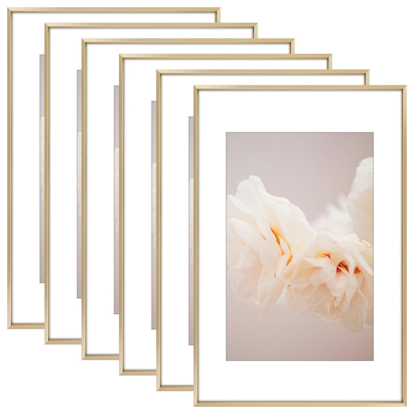 16x24 Aluminum Picture Frame for 12x18 Pictures with Mat (6 Pcs Per Box) Gold
