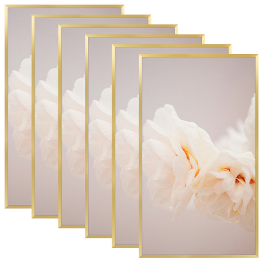 14x24 Poster Frame with Plexiglass (6 Pcs Per Box)