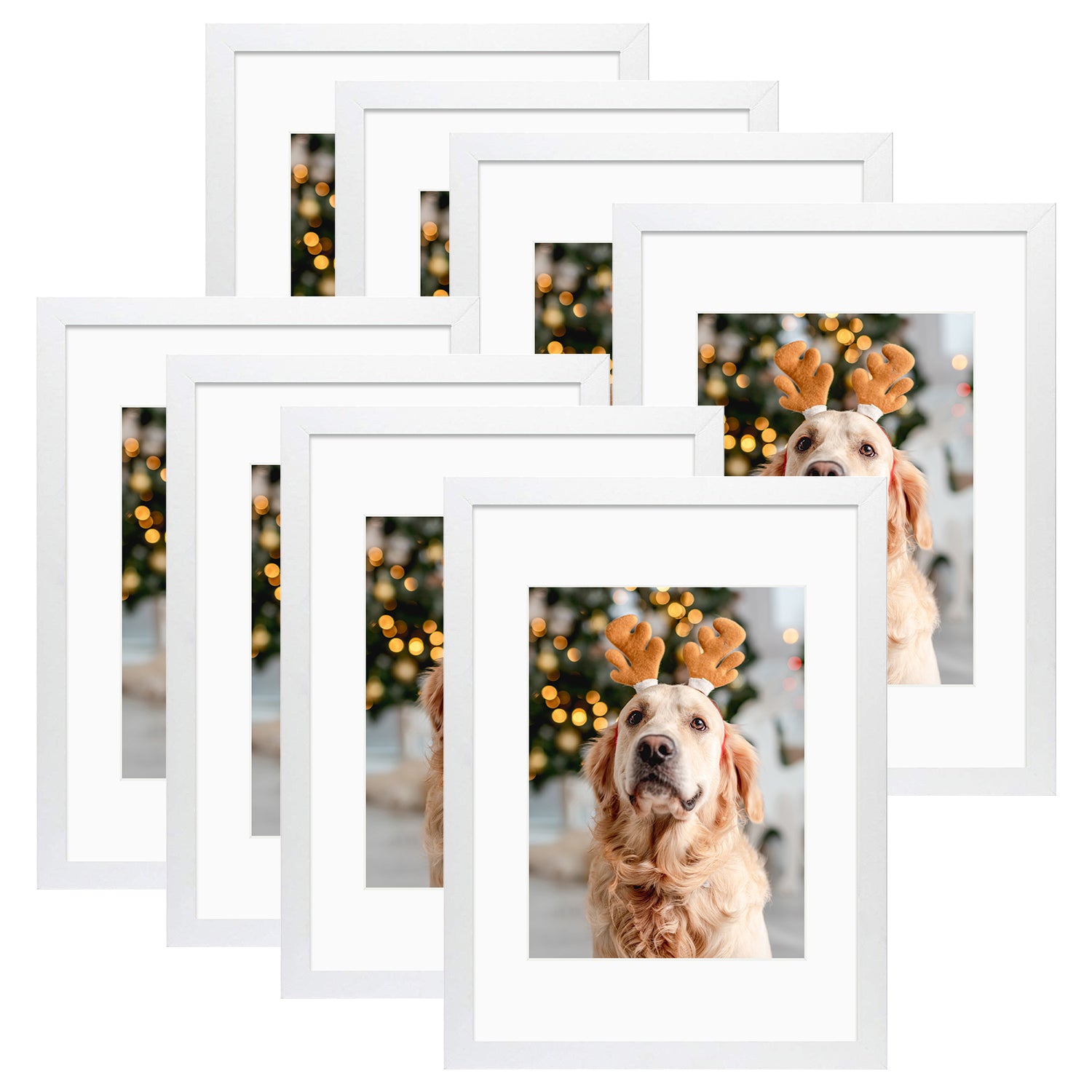 12x16 Wood Frame for 8.5x11 Picture White (8 Pcs per Box)