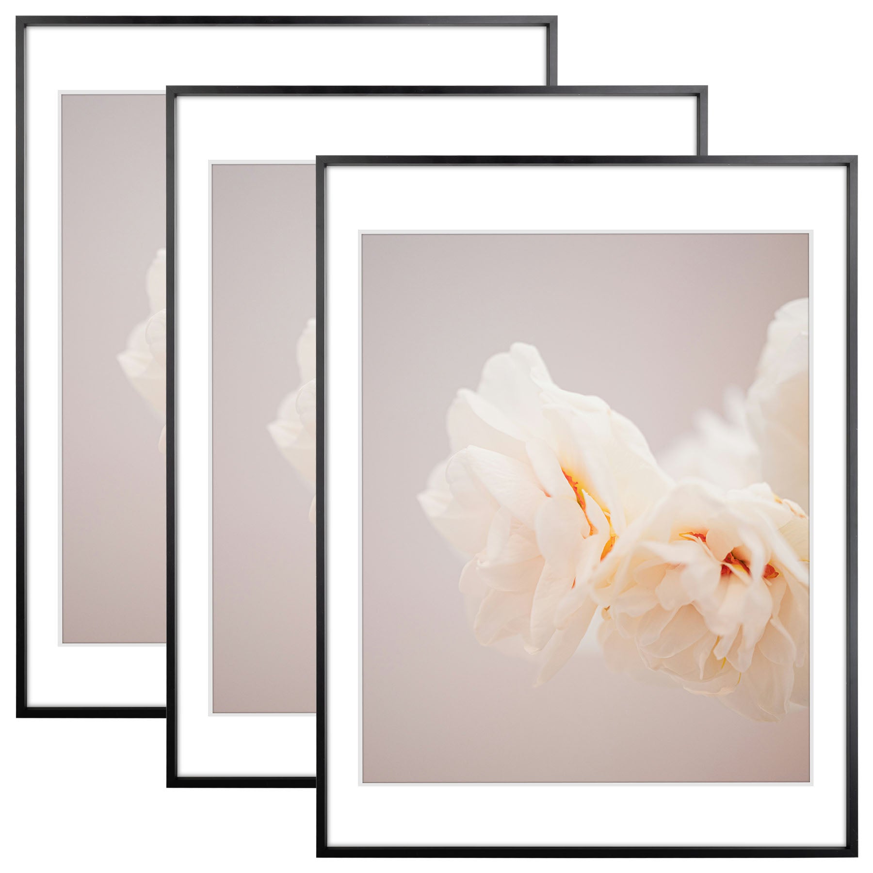18x24 Poster Frame with White Mat for 16x20 Picture (3 Pcs Per Box) Black