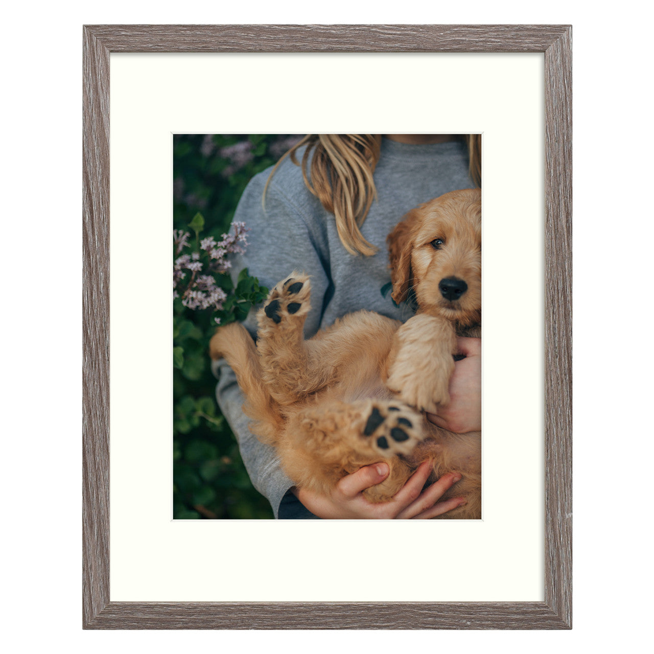 Pack of 8, 11x14 Grey Picture/Shadowbox Frame for 8x10 Photo with Ivory Mat and Real Glass