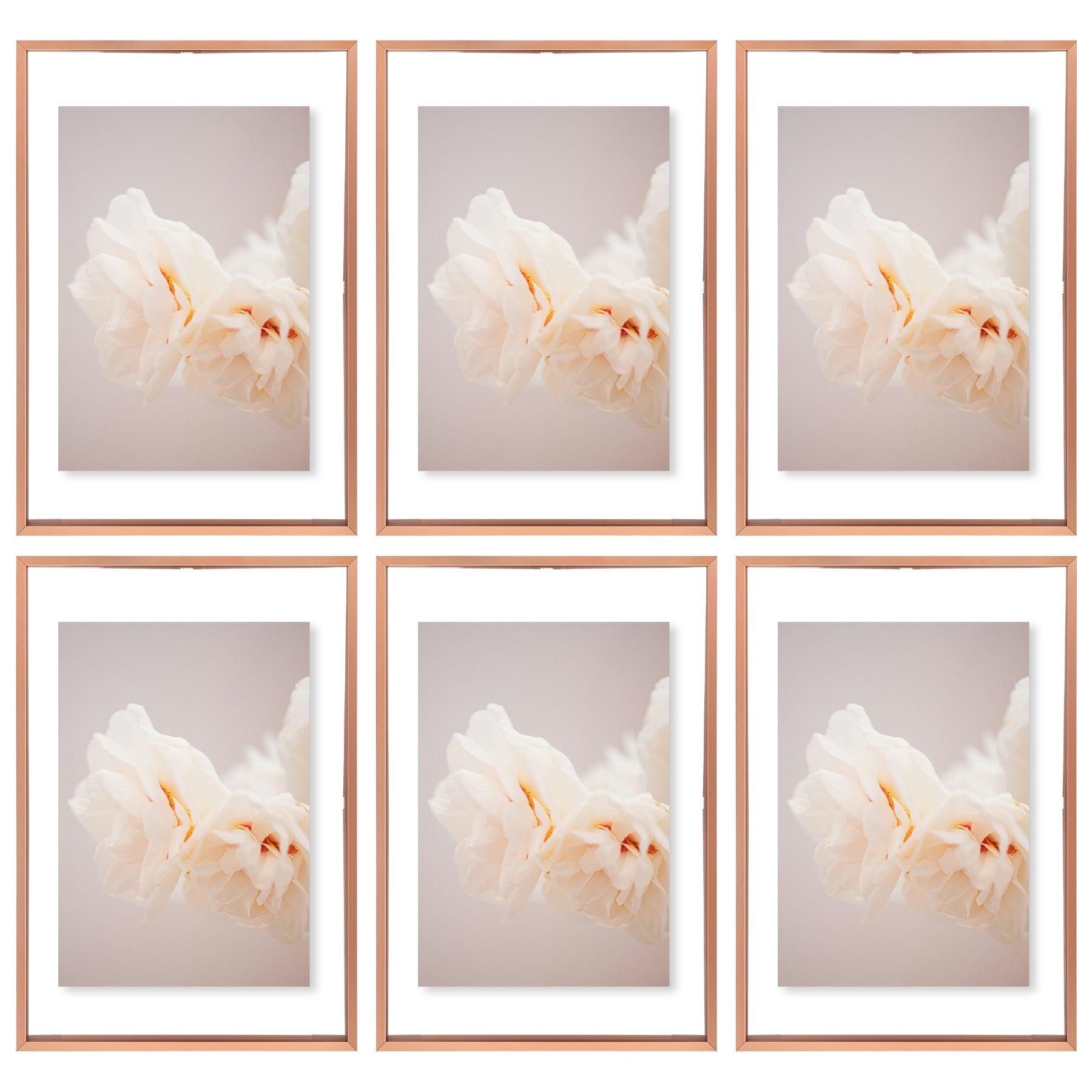 Clearance 12x18 Aluminum Floating Frame Rose Gold (6 Pcs Per Box)